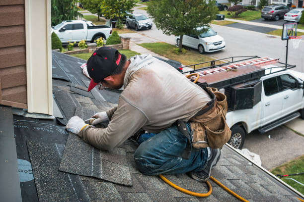 Professional Roof Leak Repair technician working in Walkerville, MI